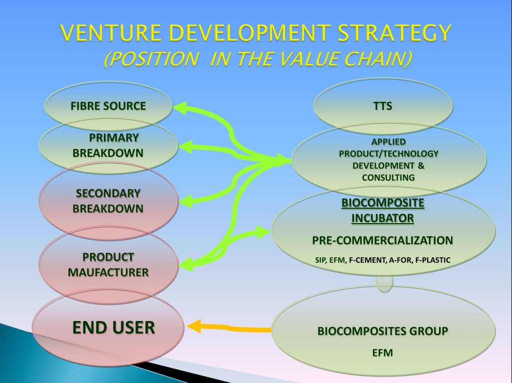 Venture Development Strategy